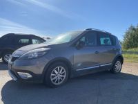Renault Scenic 2013 - Automobilis dalims