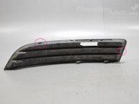 Volkswagen Passat 2005-2010 Esipampri võre, parem