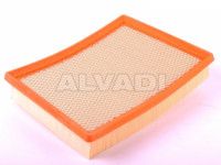 Opel Signum 2003-2008 oro filtras