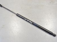 Volkswagen Tiguan Tagaluugi gaasiamort, parem