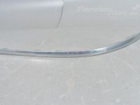 Volkswagen Passat (B7) Tagapampri liist, vasak (kroom)