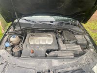 Volkswagen Passat 2008 - Automobilis dalims