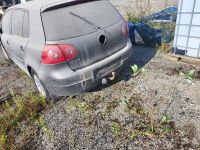 Volkswagen Golf 5 2007 - Automobilis dalims
