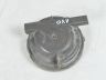 Esitule pirnipesa tolmukate