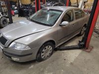 Skoda Octavia 2006 - Automobilis dalims