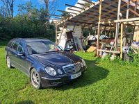 Mercedes-Benz E (W211) 2005 - Automobilis dalims