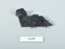 Ford Focus Esitiiva kinnitus, vasak